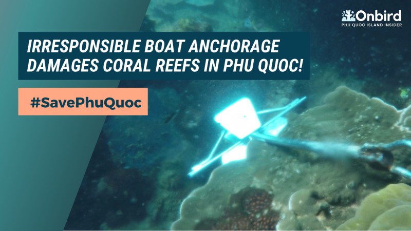 WHAT IMPACT DOES ANCHORING HAVE ON PHU QUOC MARINE LIFE?