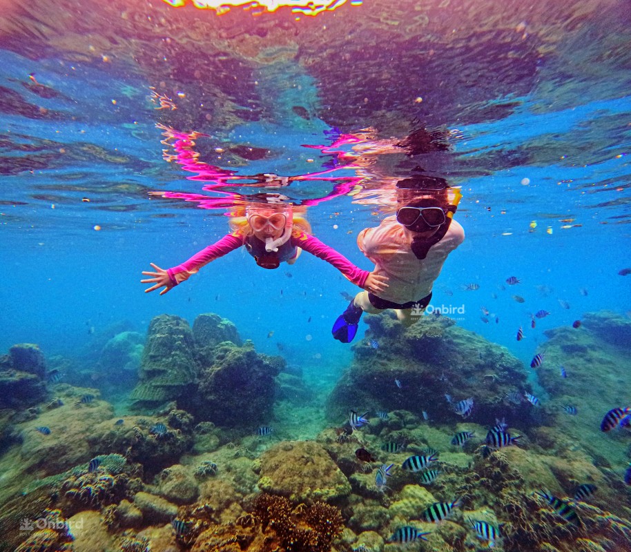 5 Surprising Benefits of Snorkeling for Children’s Brain Development
