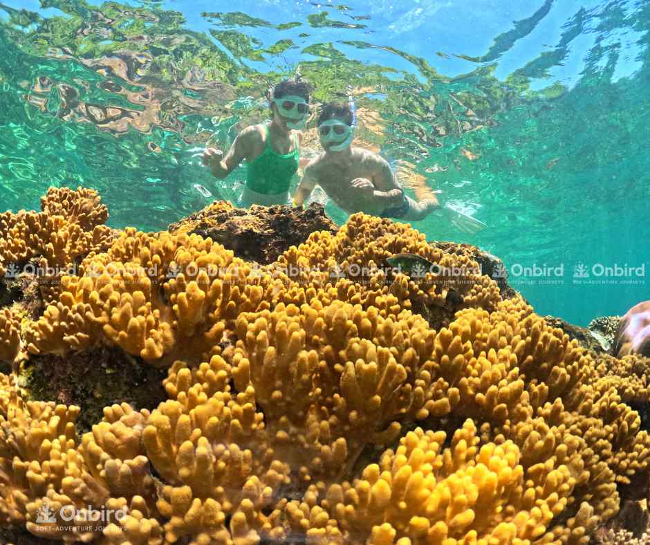 Phu Quoc Weather and Sea Conditions Forecast: From July 30 – August 13, 2025
