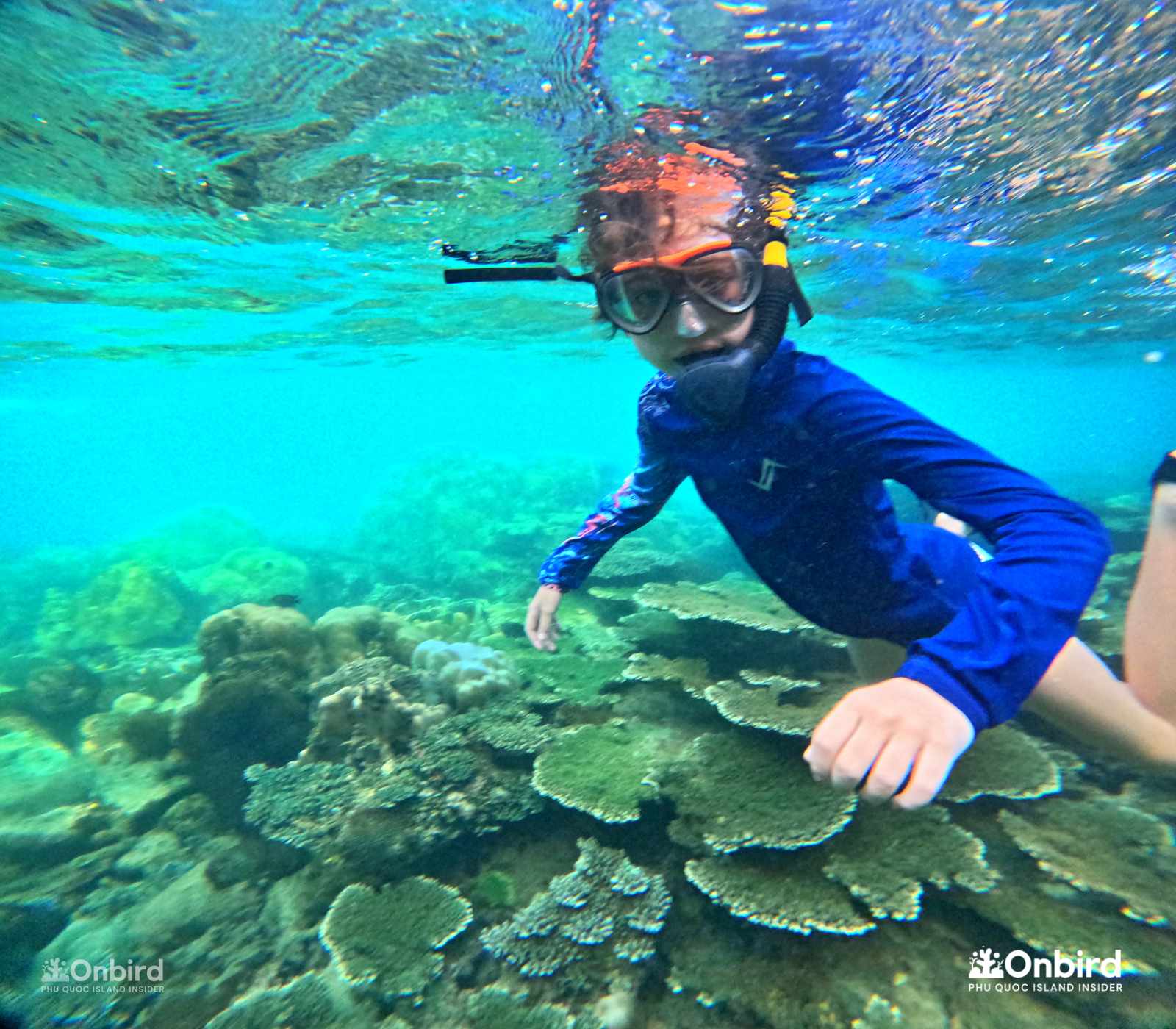 A Family Travel blogger from Spain – Scott’s Family** Fully Enjoyed Their Summer Snorkeling Trip In Phu Quoc
