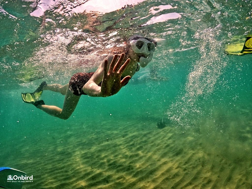 Beneath the Ocean The Enigma and Significance of Sign Language in Underwater Exploration