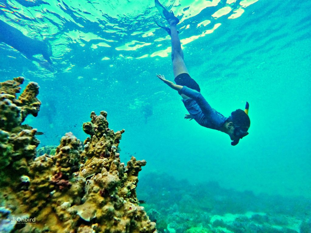 CORALS AT PHU QUOC WITH ONBIRD | BLOGS BY RONIT – A 13 Y.O BOY (March 2024)