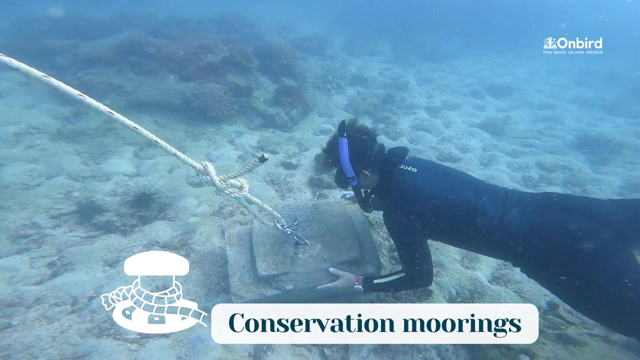 PHU QUOC CONSERVATION MOORINGS