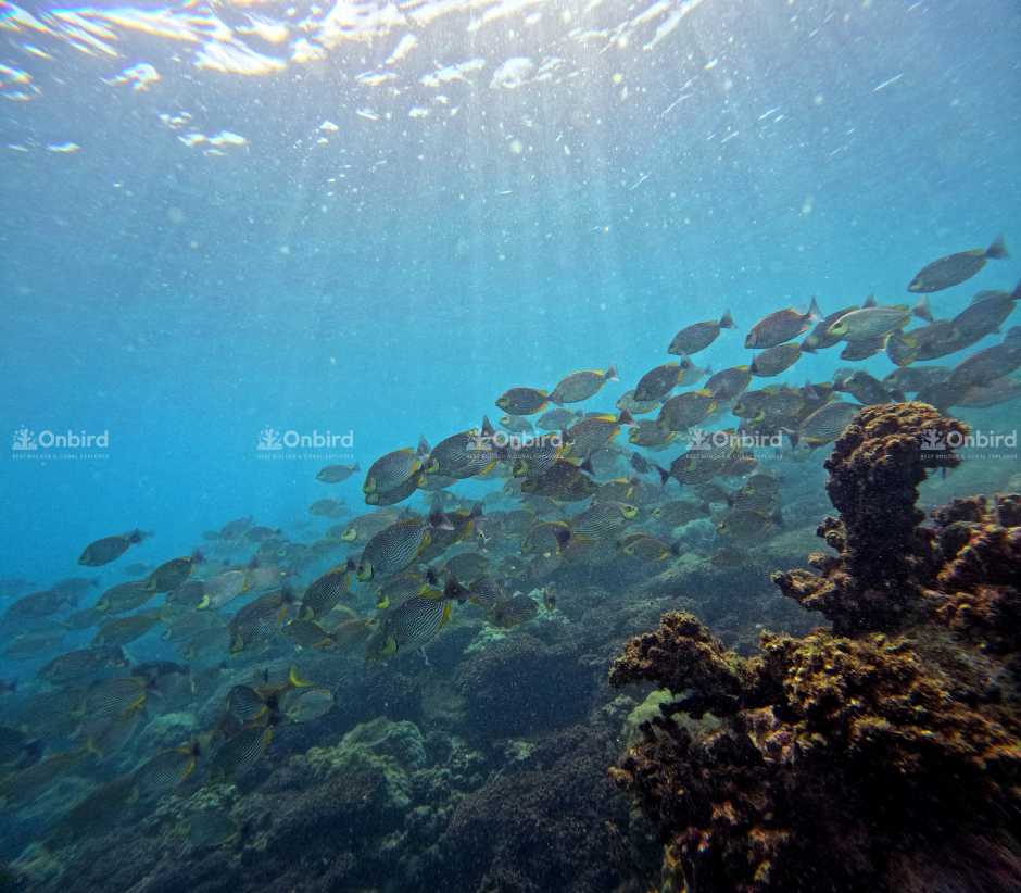 Phu Quoc Sea Weather Update | November 7 – November 20