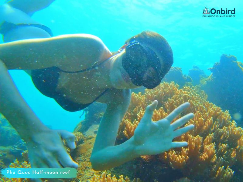 7 TIPS FOR YOUR RESPONSIBLE SNORKEL IN PHU QUOC ISLAND