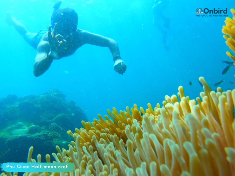 #SAVEPHUQUOC- THE MARINE PROTECTED AREA OF PHU QUOC