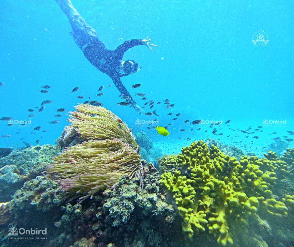 Phu Quoc Sea Weather Update from November 21 – December 4: