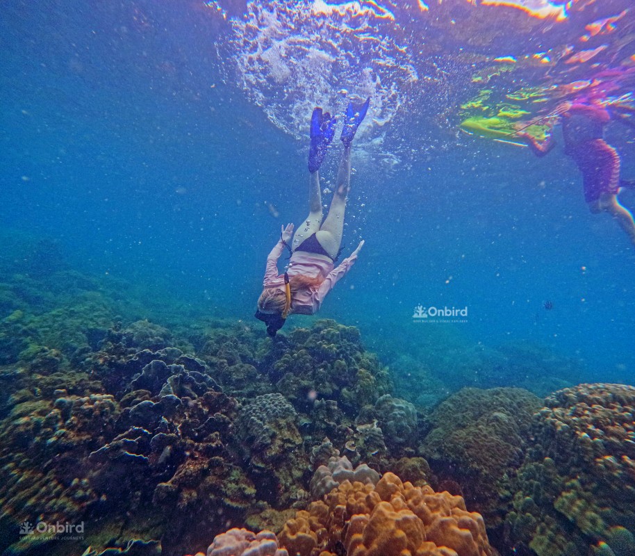 OnBird’s Exclusive Open Water Safety Management For Discovery Snorkeling