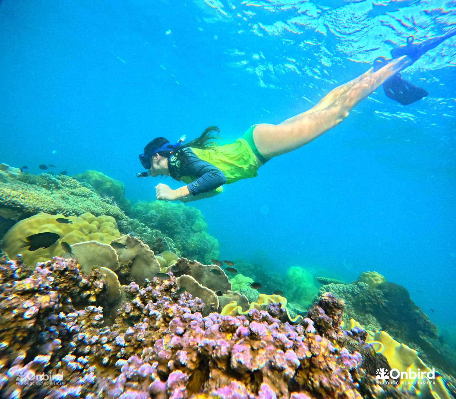 Our snorkeling experience in Phu Quoc was overwhelming thanks to the best team of Onbird