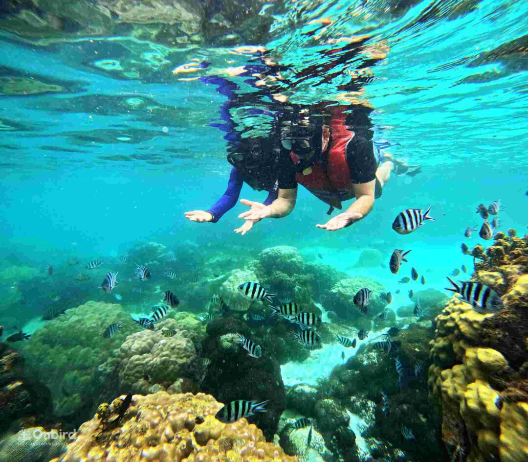 Phu Quoc Island weather forecast update: 11.7 – 24.7.2025: