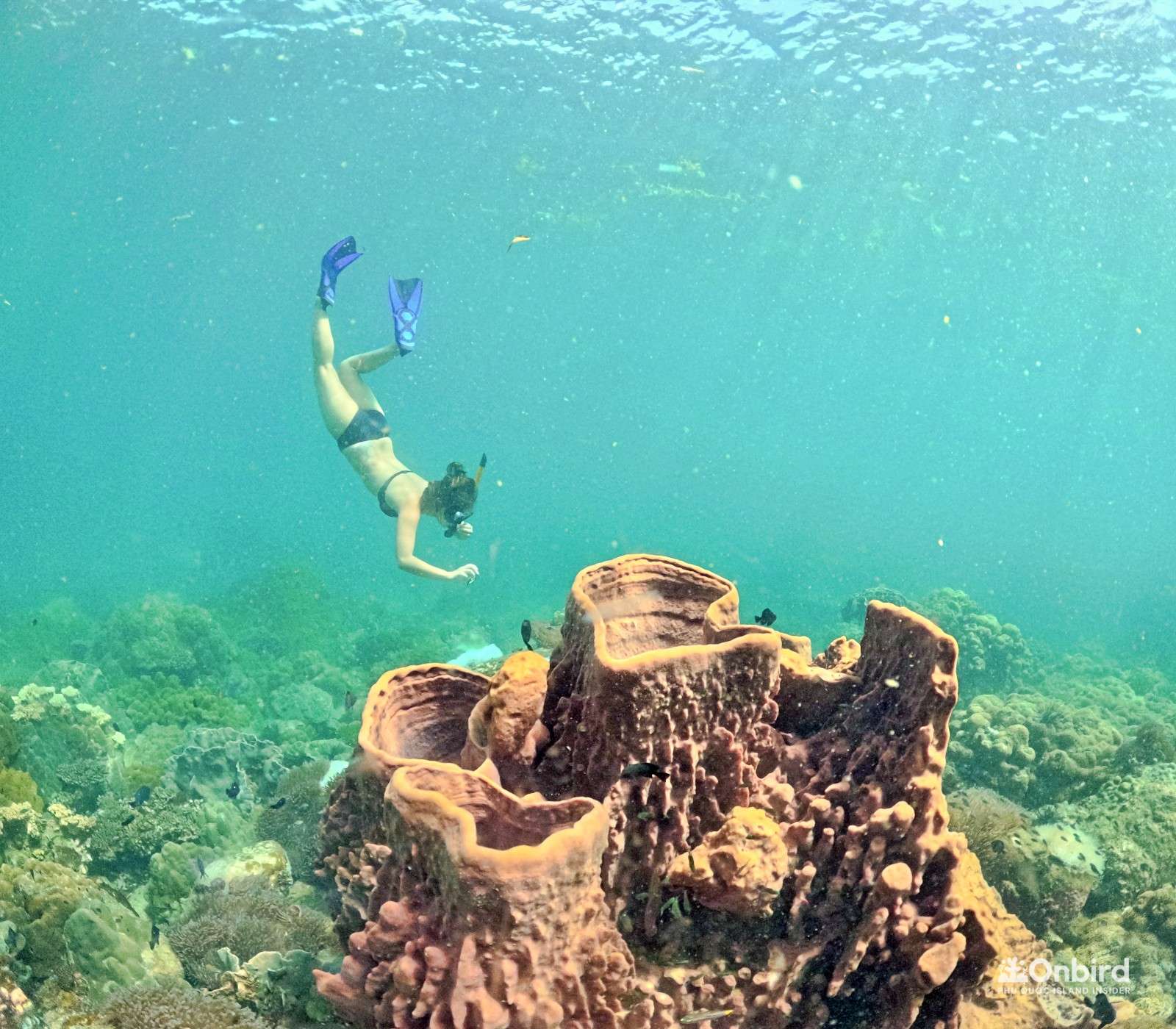 Phu Quoc Snorkeling Tour Review by Mandy Lau