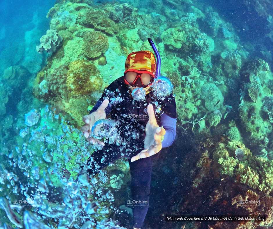 Phu Quoc Snorkeling Tour Review