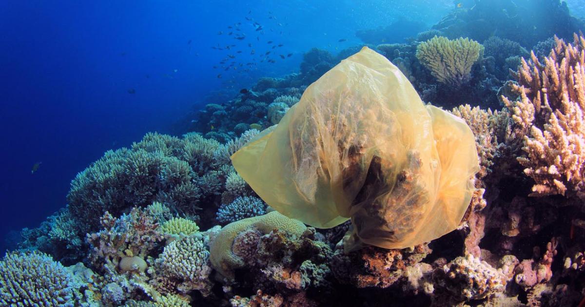 Dispose of Fishing Line Responsibly