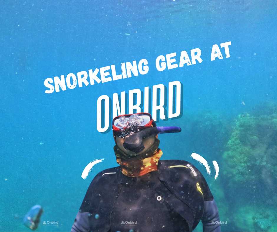 Snorkeling Gear at OnBird: Thoughtfully Chosen for Your Comfort, Safety, and Deeper Connection with Nature.