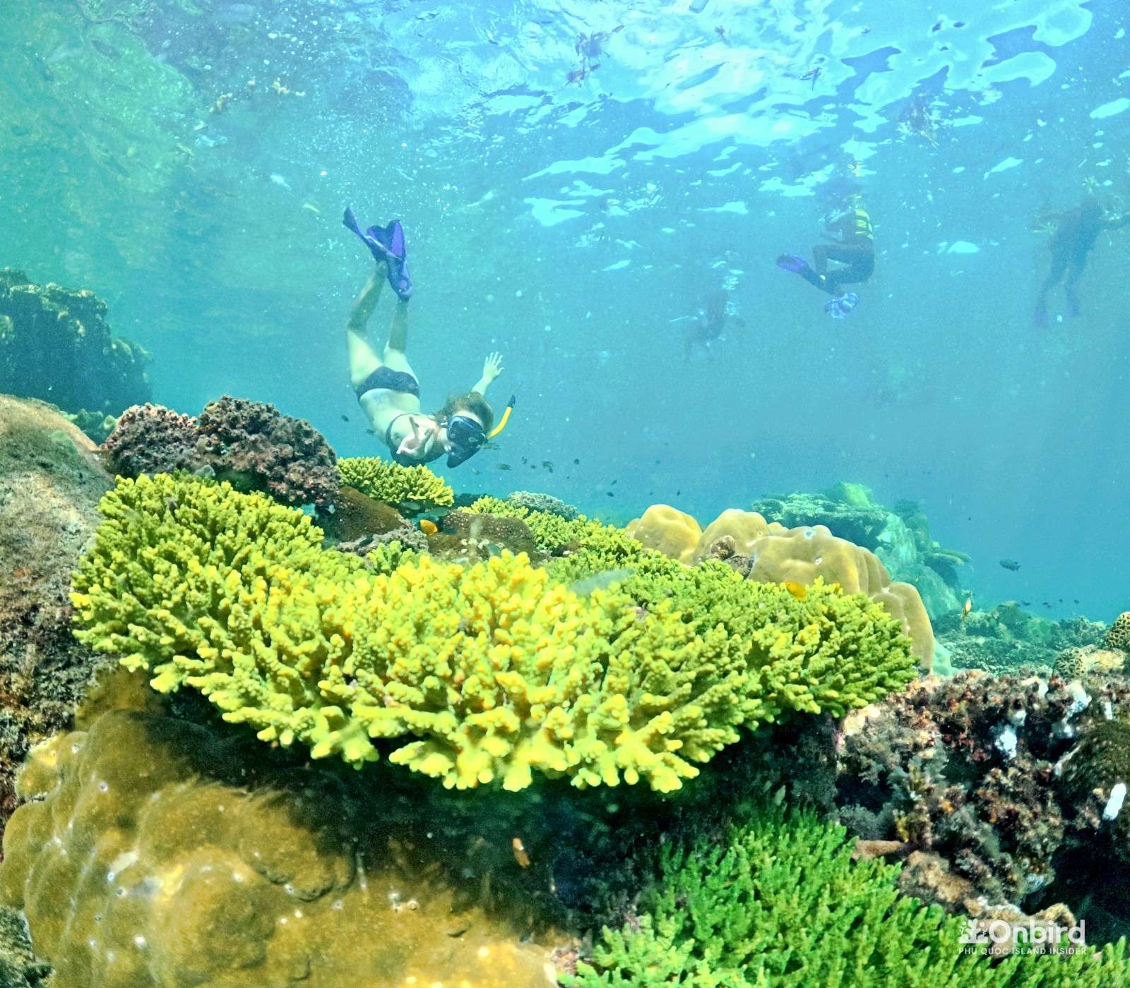 This Was An Exceptional Snorkeling Experience In Phu Quoc
