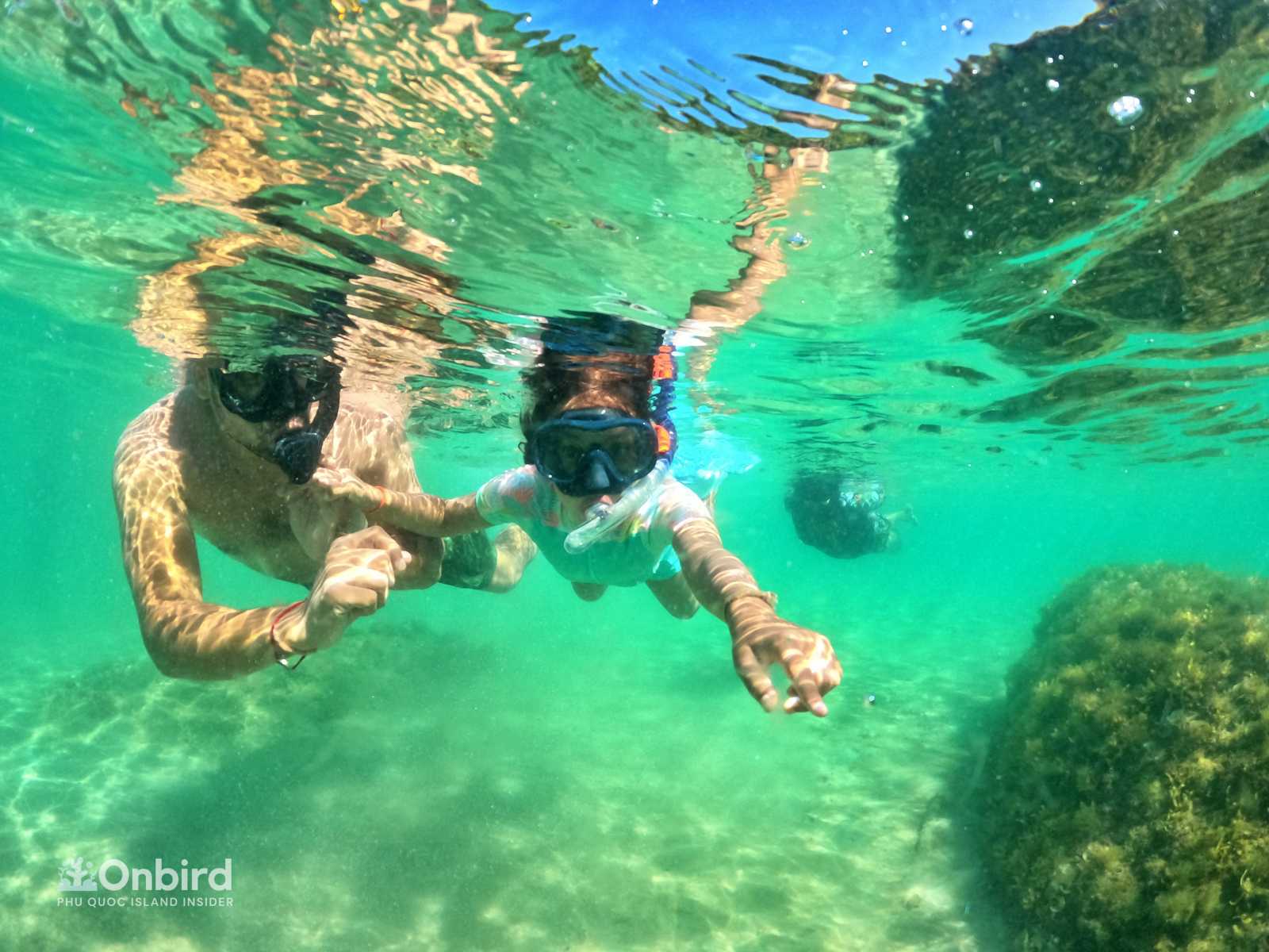Top Notch Service For A Fun Day Family Snorkeling Trip