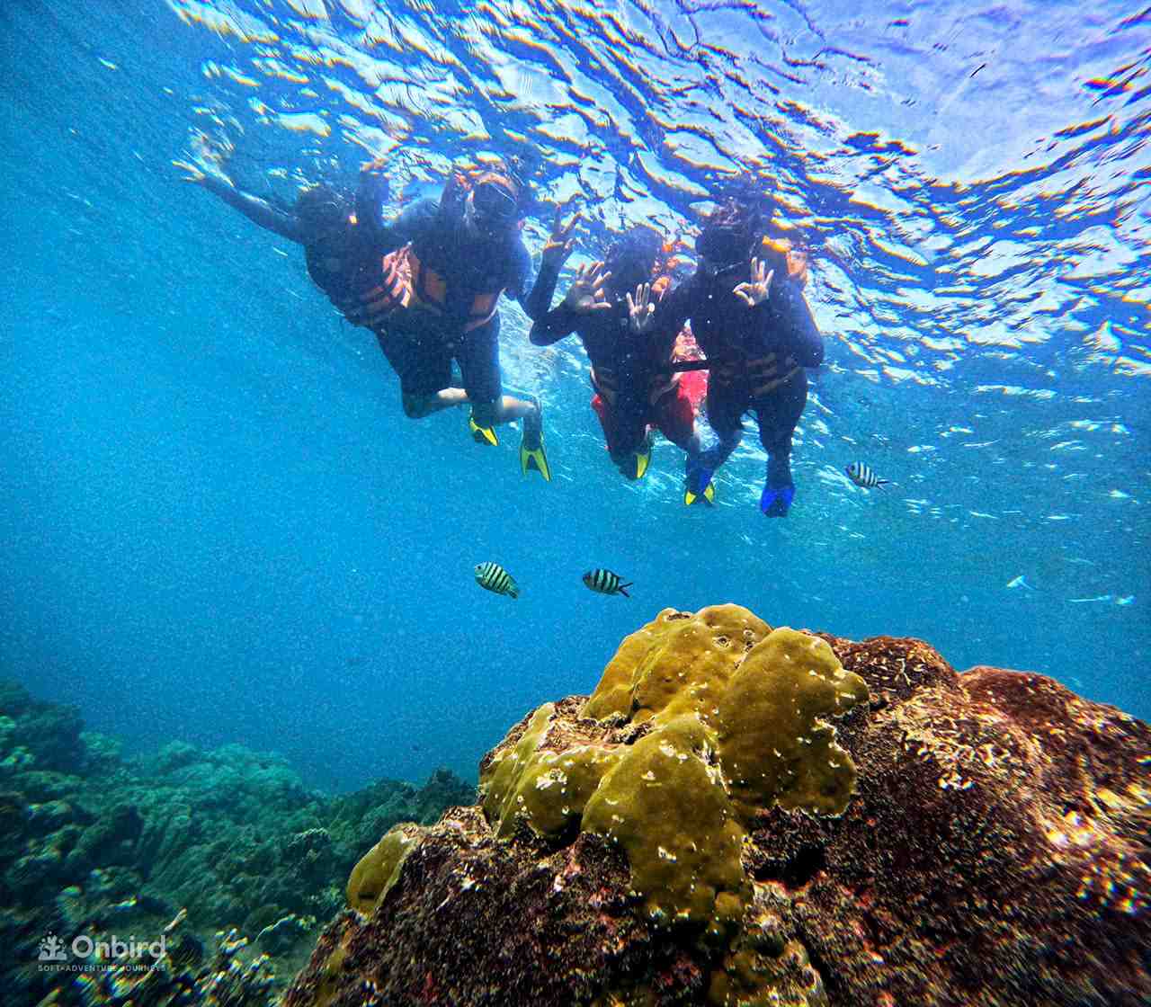 We had an absolutely fantastic experience with OnBird Phu Quoc’s small group snorkeling tour!