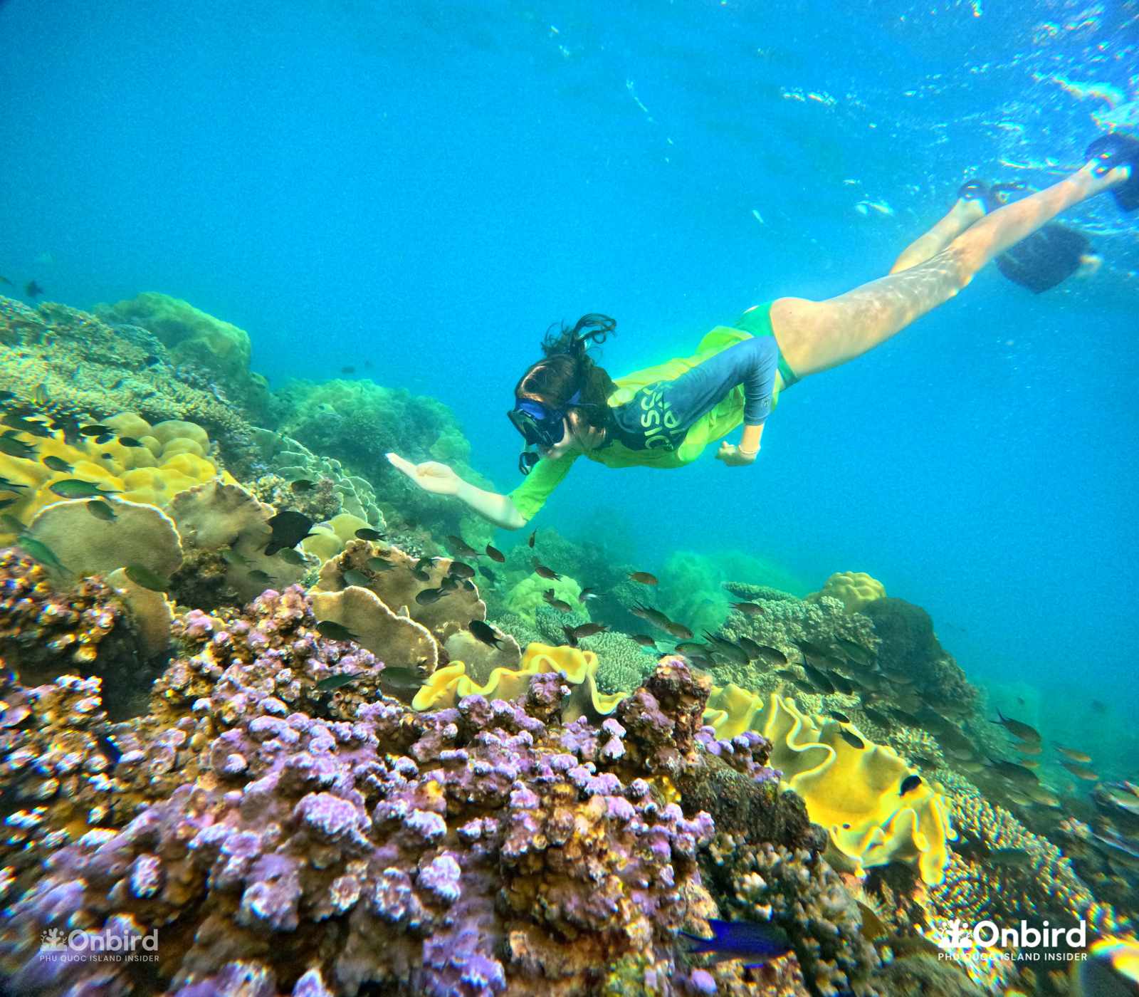 HOW IMPORTANT ARE CORAL REEFS? ON A NEED-TO-KNOW BASIS