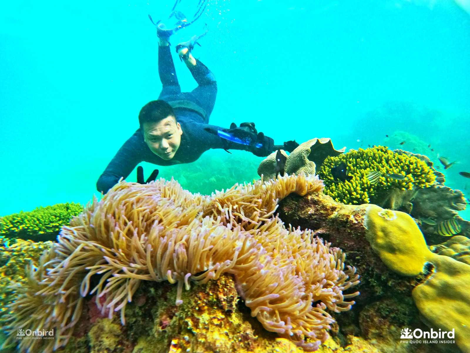 FEED THE OCEAN – CONSERVE PHU QUOC MARINE LIFE