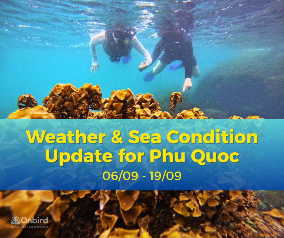 Phu Quoc: A New Perspective – Discovering Historical Traces at Phu Quoc POW Camp Relic