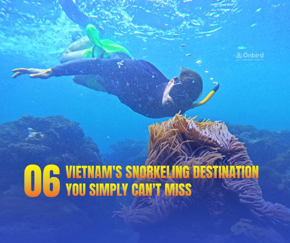 6 Amazing Snorkeling Spots in Vietnam You Can’t Miss