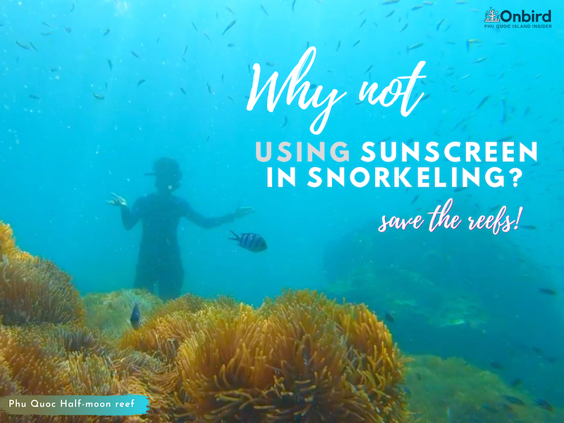 WHY SHOULDN’T USE SUNSCREEN IN SNORKELING?