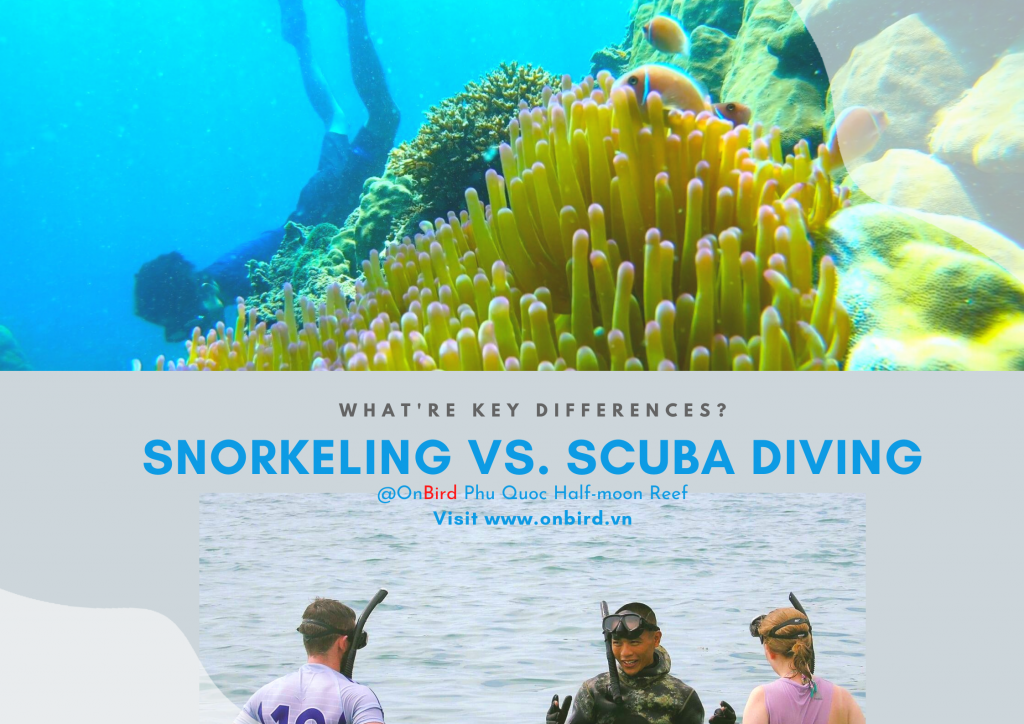5 DIFFERENCES BETWEEN SNORKELING VS. SCUBA DIVING THAT YOU MAY DON’T KNOW