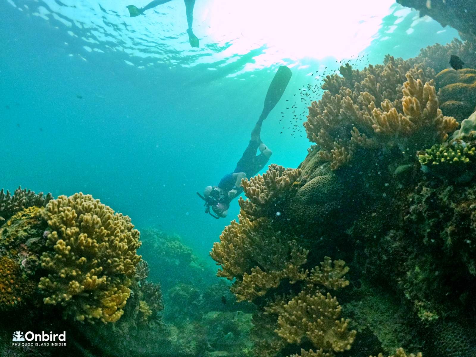 A FASCINATING UNDERWATER PHOTOGRAPHY SNORKELING TRIP IN PHU QUOC ISLAND WITH 8 VIETNAMESE GUESTS FROM SAPA, VIETNAM HIGHLAND
