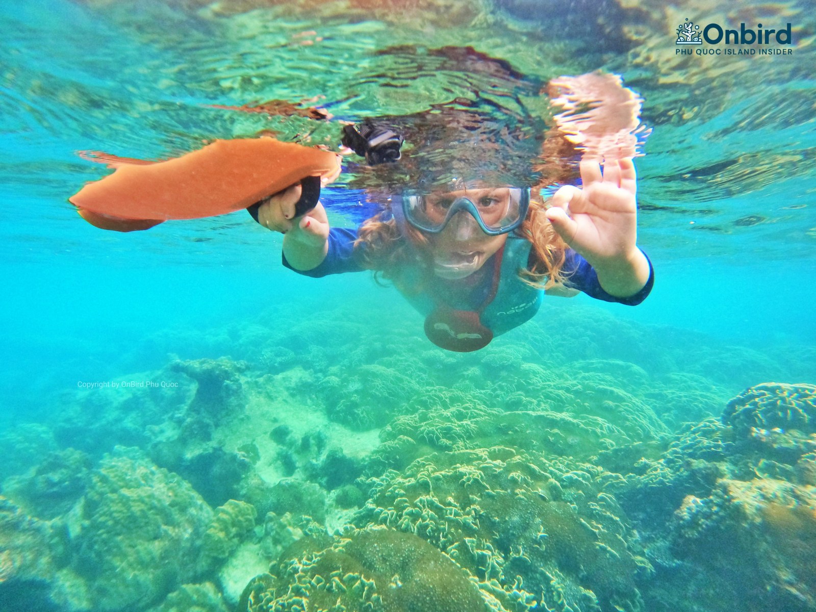 COME TO VIETNAM, YOUR KIDS CAN EXPERIENCE A FRIENDLY SNORKELING TOUR WITH PRISTINE CORAL REEFS!