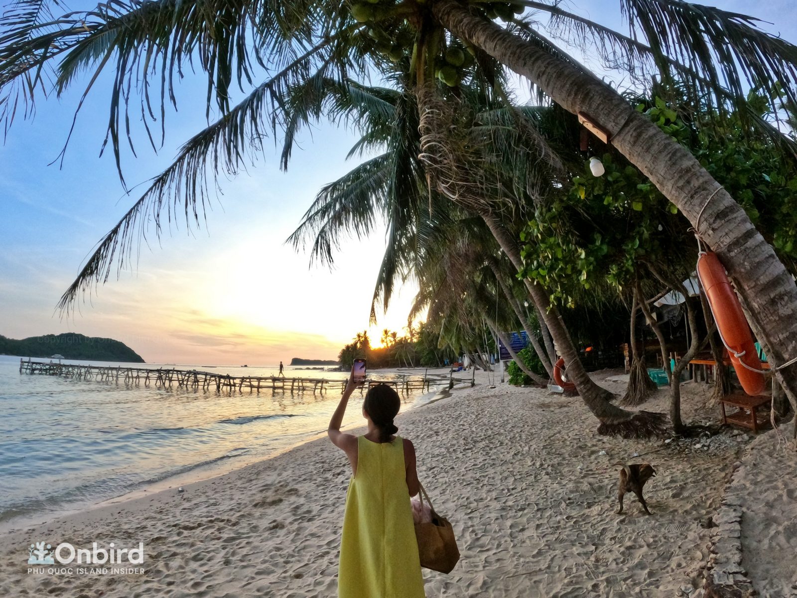 Comprehensive Monthly Phu Quoc Weather Guides Based on OnBird’s Observations