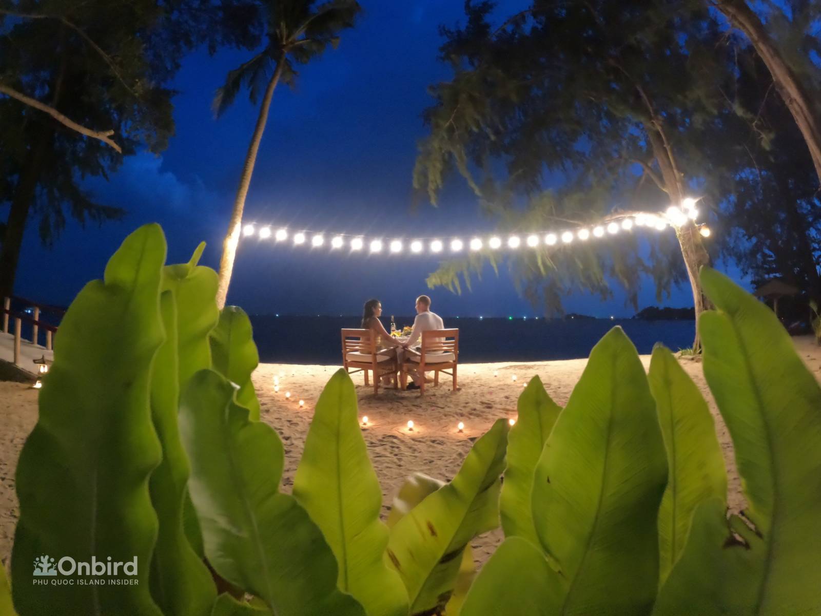 DIVING DEEP INTO CORAL & LOVE / ONBIRD PHU QUOC (Adventure Snorkeling & Proposal)