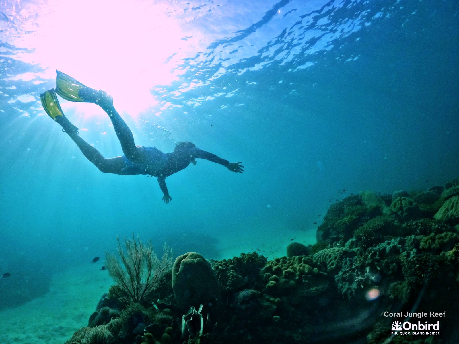 DRIFT SNORKELING IN PHU QUOC ISLAND, VIETNAM | Soft-adventure Snorkeling