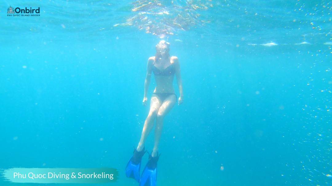 FANTASTIC FREE-DIVING & SNORKELING IN PHU QUOC ISLAND
