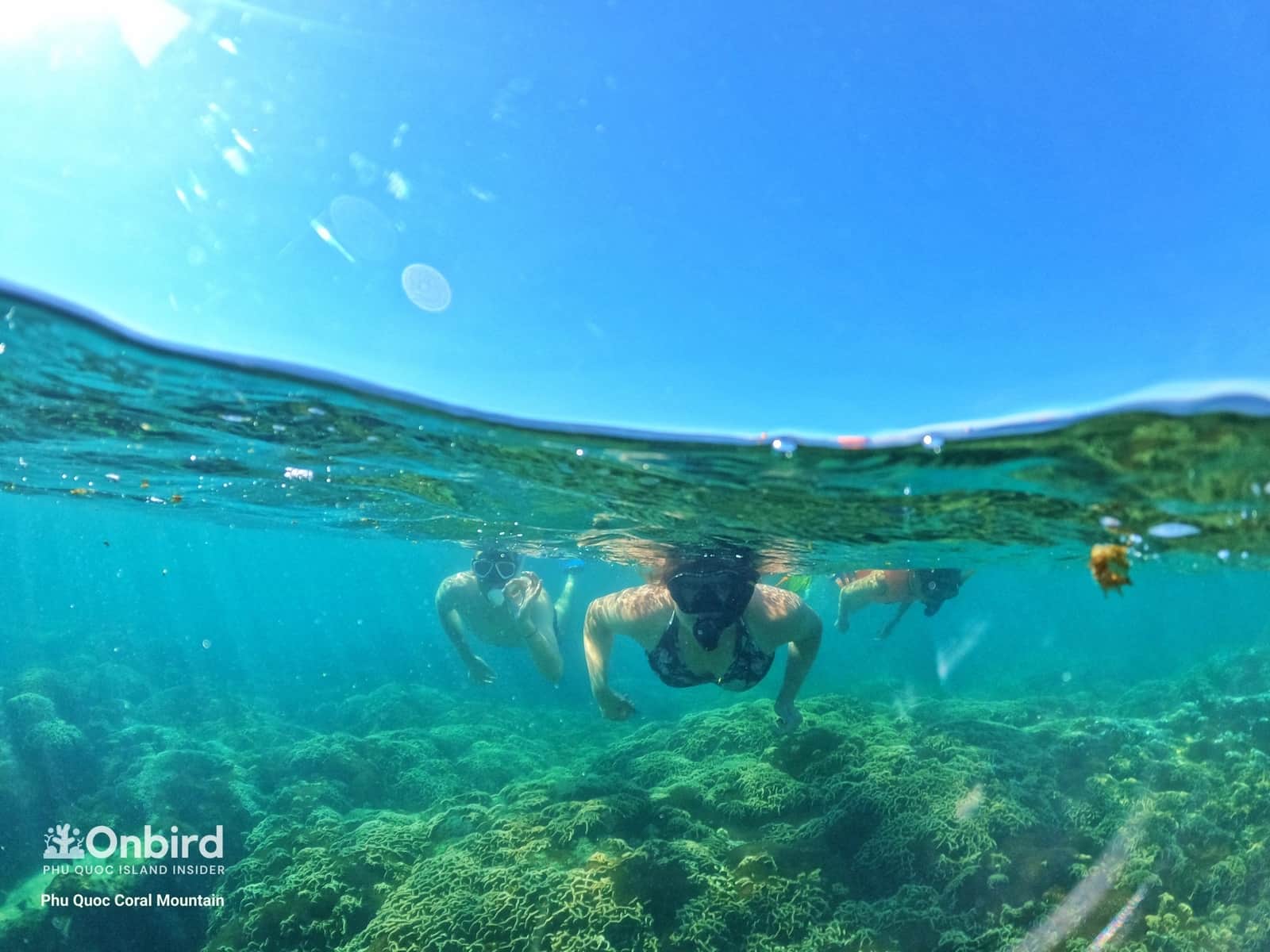 EXPLORING A FASCINATING MARINE WORLD ON THE SMALL-GROUP SNORKELING TRIP IN PHU QUOC ISLAND