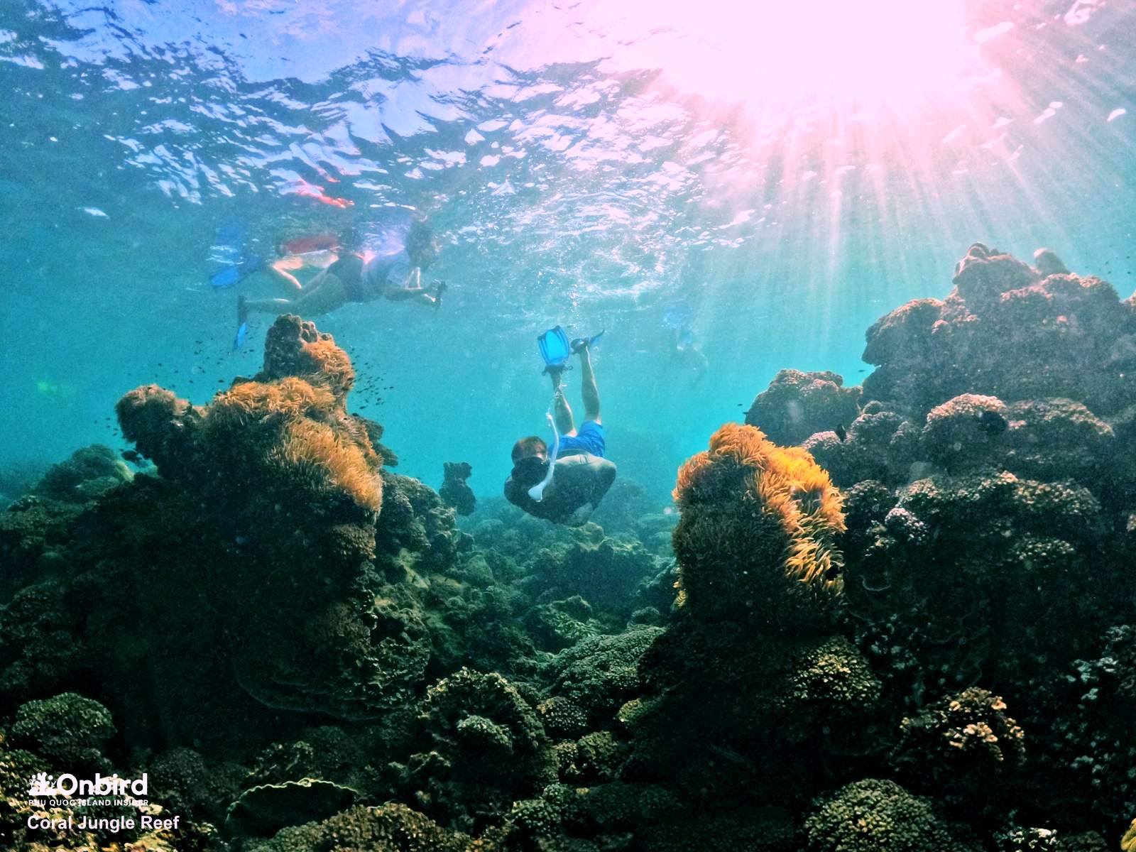 Forecasting Water Conditions for Scientific Discovery Snorkeling and Diving in Phu Quoc Island