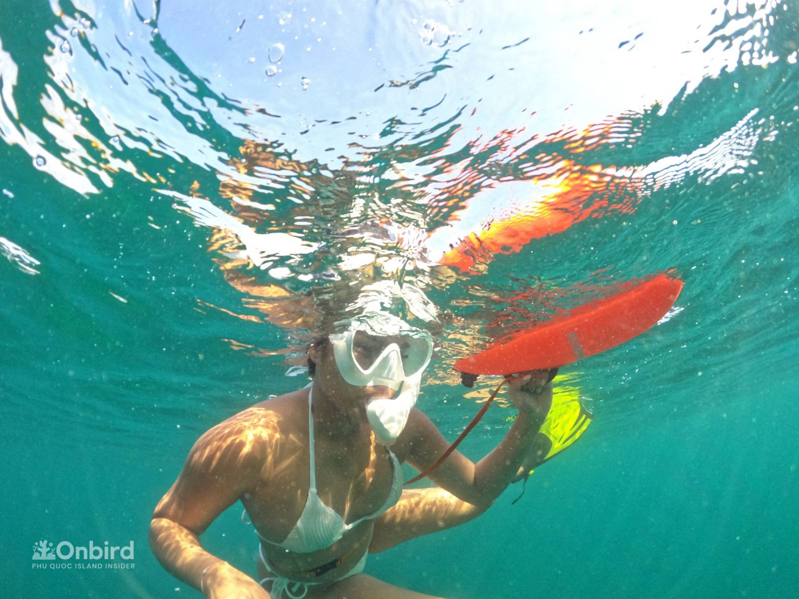 HIGH QUALITY DIVING & SNORKELING MASK, TUBE, FIN IN PHU QUOC ISLAND, VIETNAM