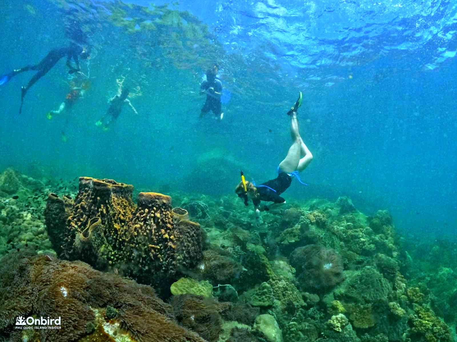 IS THIS POSSIBLE TO DO SNORKELING & DIVING IN PHU QUOC ISLAND IN THE RAINY SEASON?