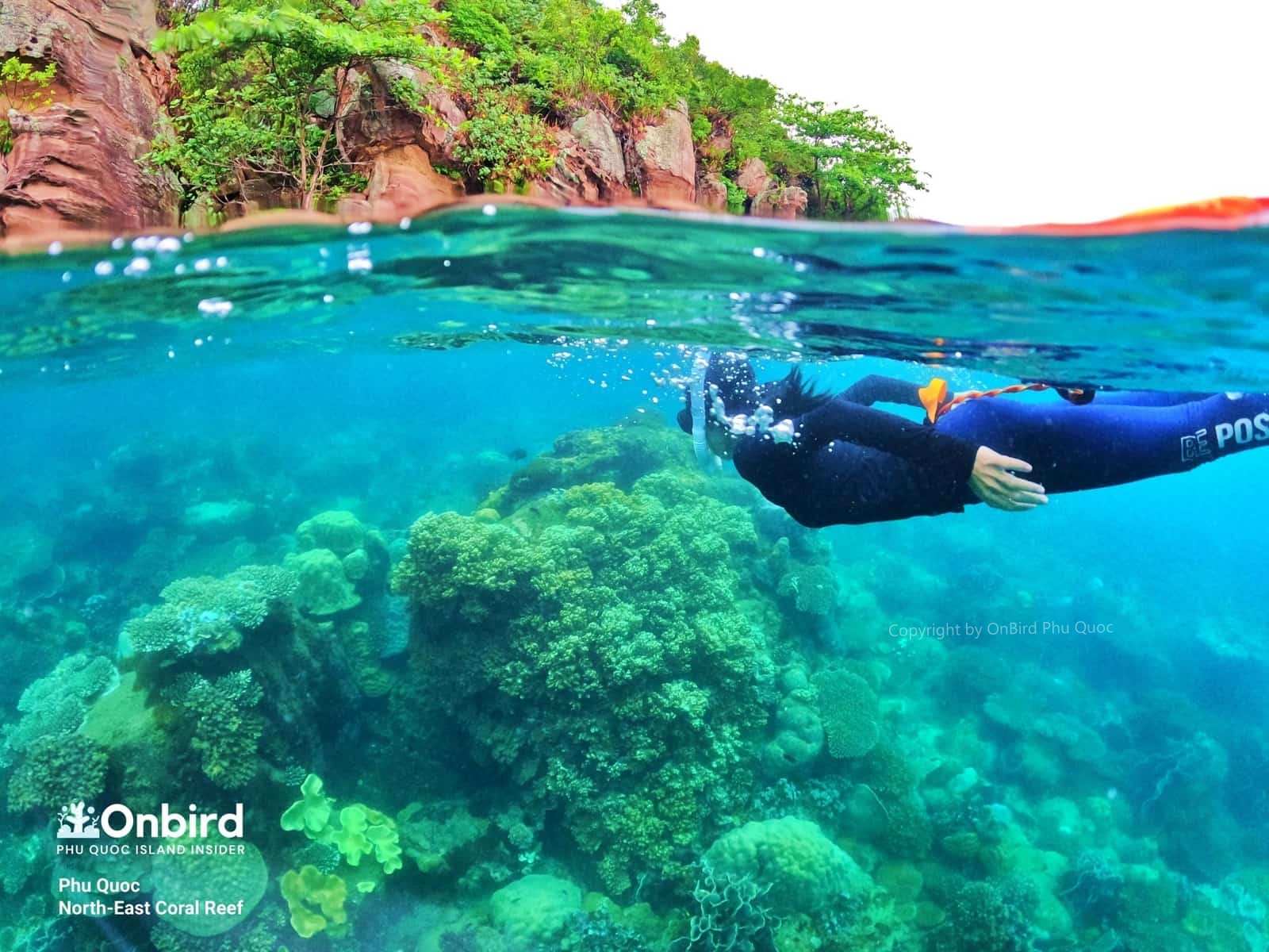 NORTH-EAST CORAL REEF – A CORAL CITY IN THE SOUTH OF PHU QUOC ISLAND