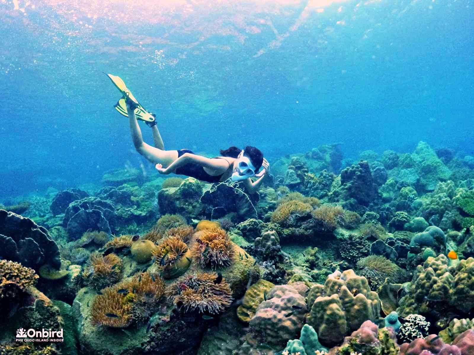PHU QUOC ISLAND: THE BEST PLACE TO DO SNORKELING FROM HONG KONG, MACAO WITHIN FEW-HOUR FLIGHT