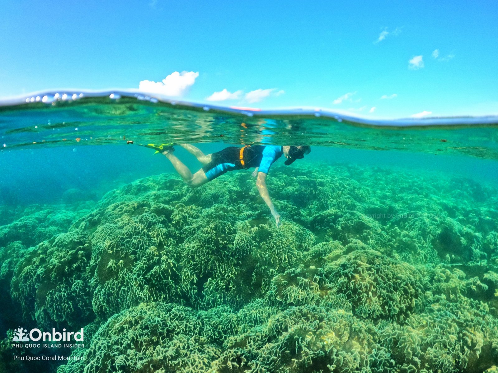 PHU QUOC UNDERSEA CORAL MOUNTAIN – PHU QUOC TOP SNORKELING SPOT