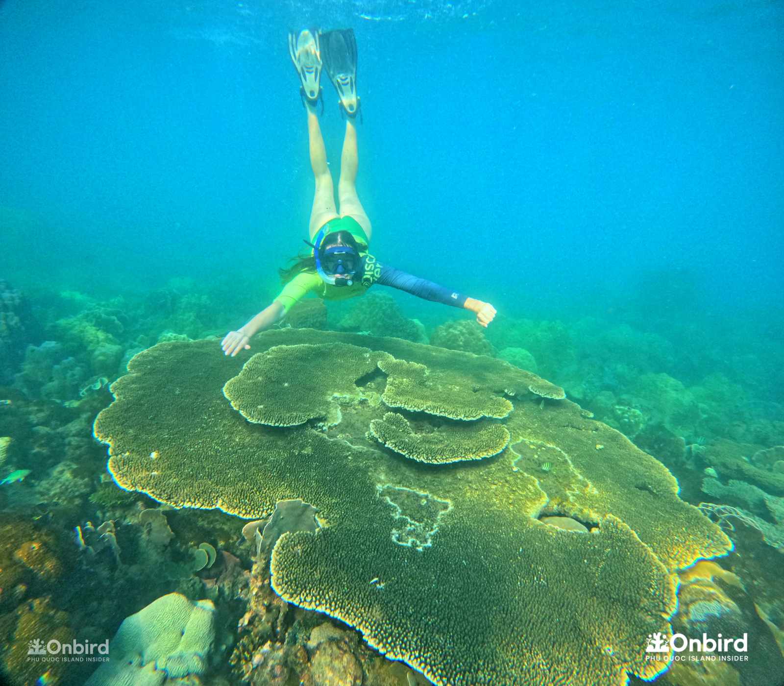 Phu Quoc Island Private Professional Snorkeling Trip to explore the An Thoi Archipelago