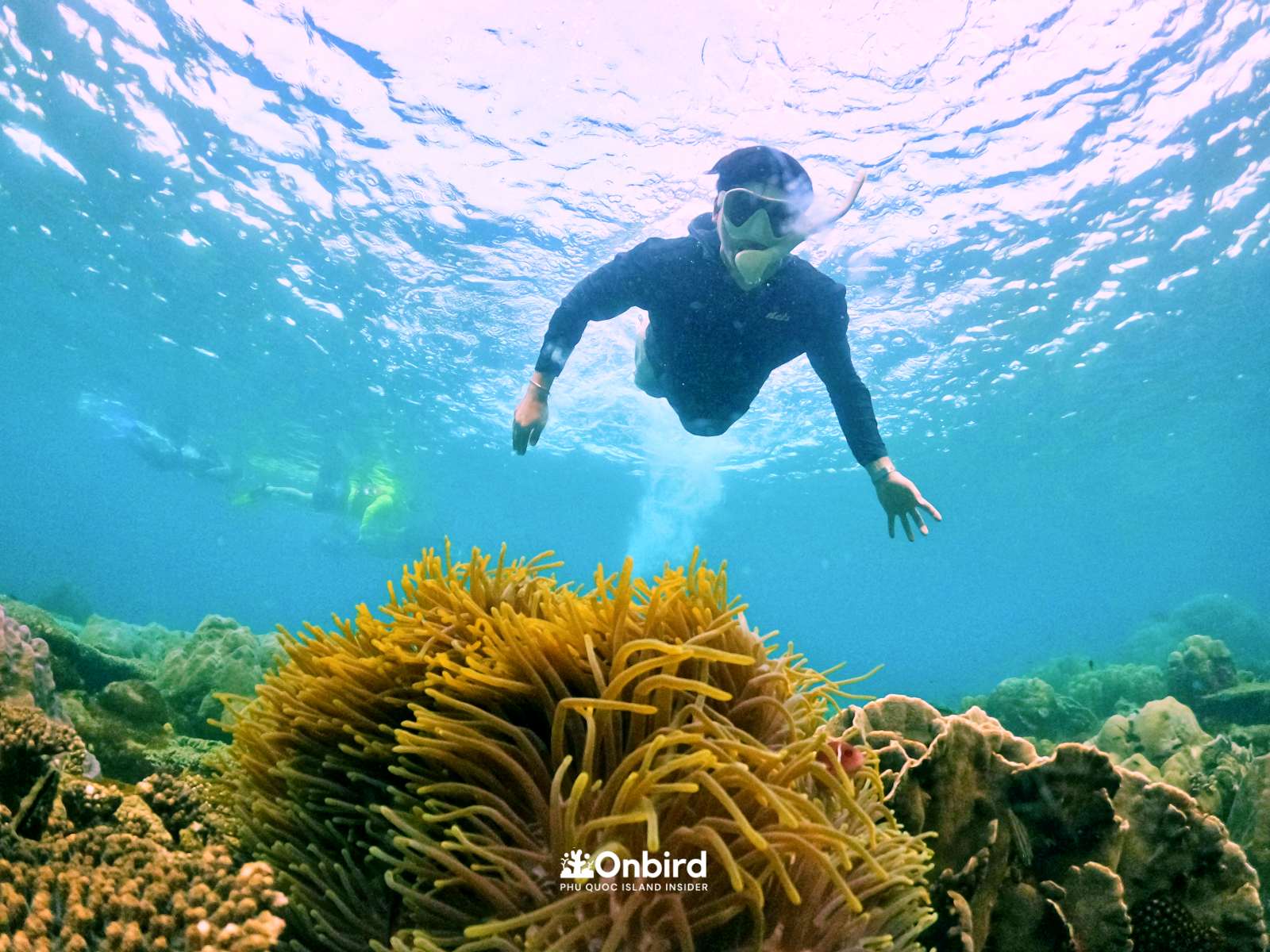Professional Small Group Discovery Snorkeling Experience in Phu Quoc Island