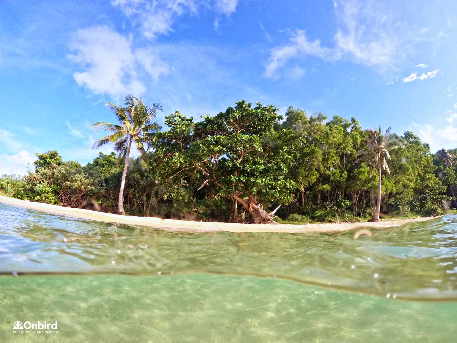 Questionaires about Rainy Season in Phu Quoc Island, Vietnam