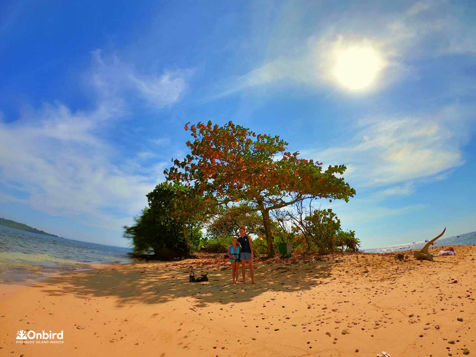 Questionnaire about Rainy season in Phu Quoc Island, Vietnam by OnBird
