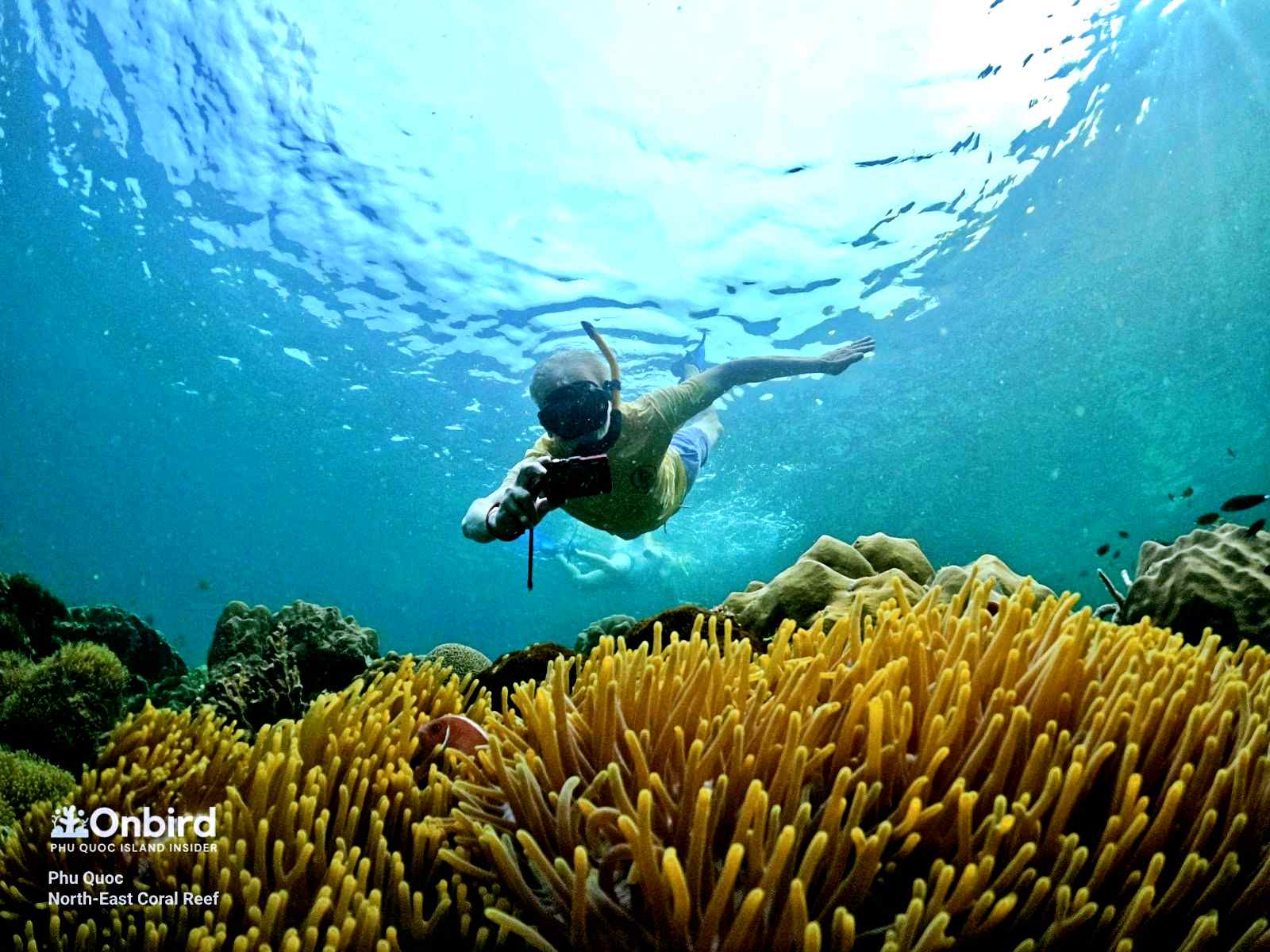 SNORKELING OR SCUBA DIVING, WHICH ONES YOU SHOULD DO?