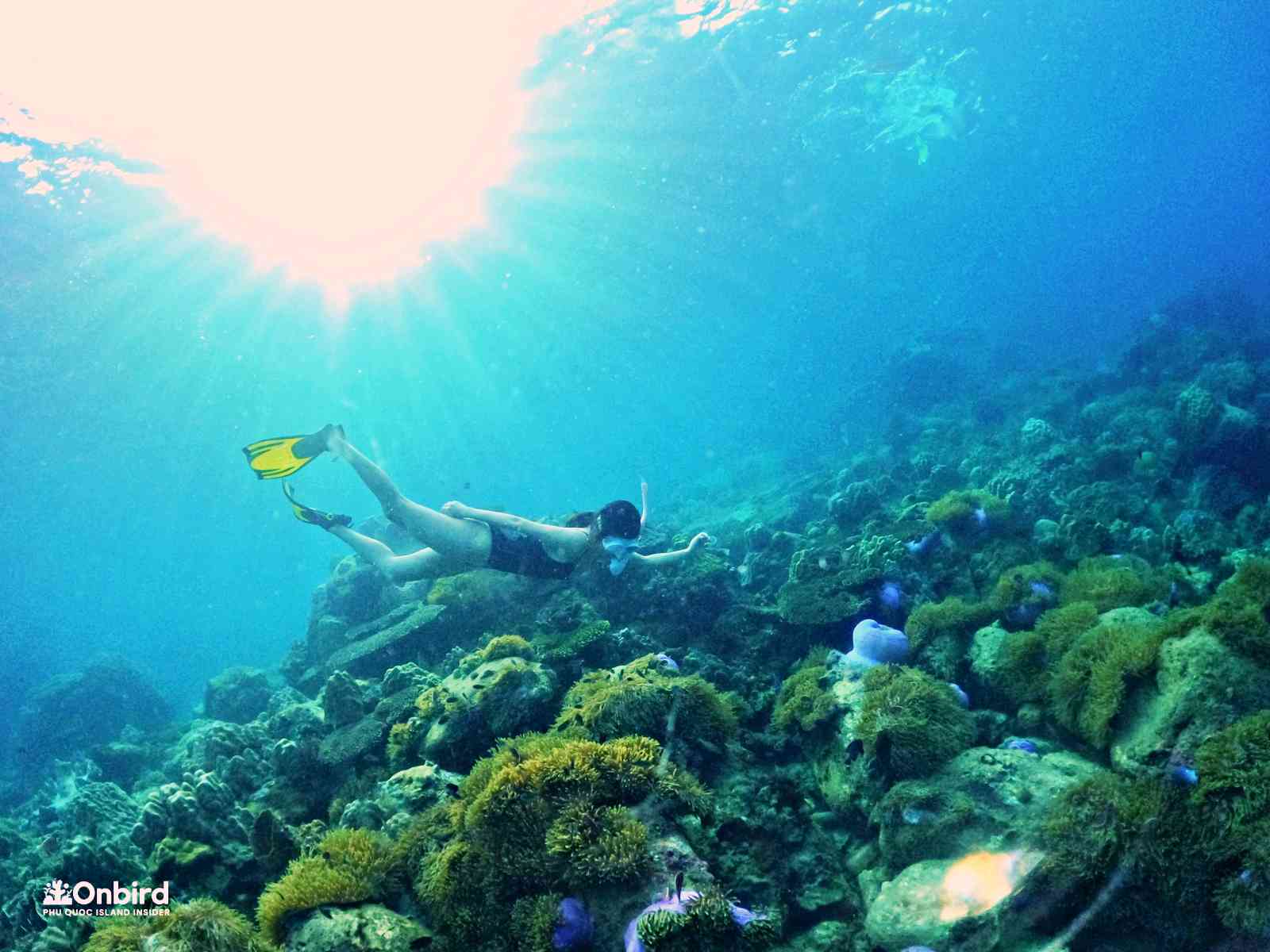 Sustainable Small-Group Soft-adventure Snorkeling Tour – Amazing things to do in Phu Quoc Island