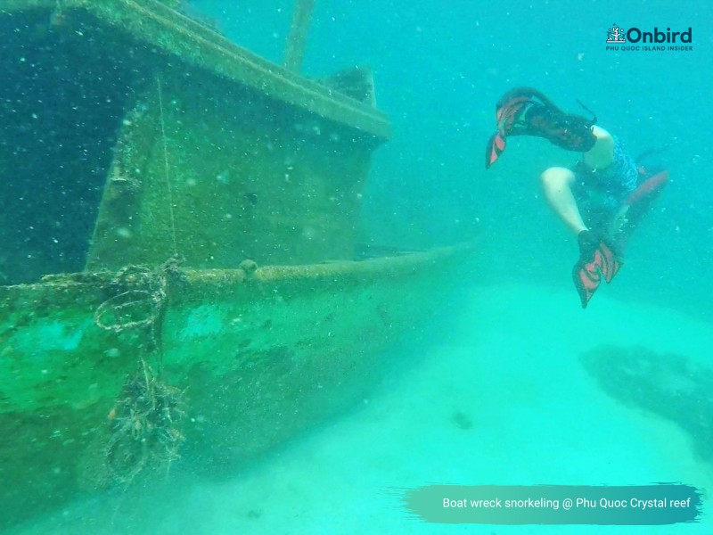 THE DISCOVERY JOURNEY TO PHU QUOC CORALS OF JAY LIM AND HIS DAUGHTER (PART 1)