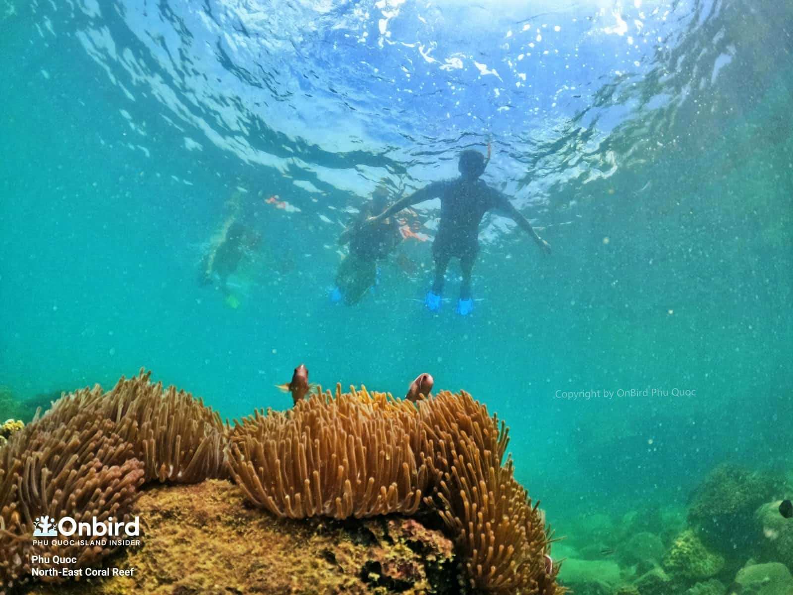 THE SOFT-ADVENTURE SNORKELING & ISLAND HOPPING EXCURSION WITH 2 BRITISH TRAVEL BLOGGERS
