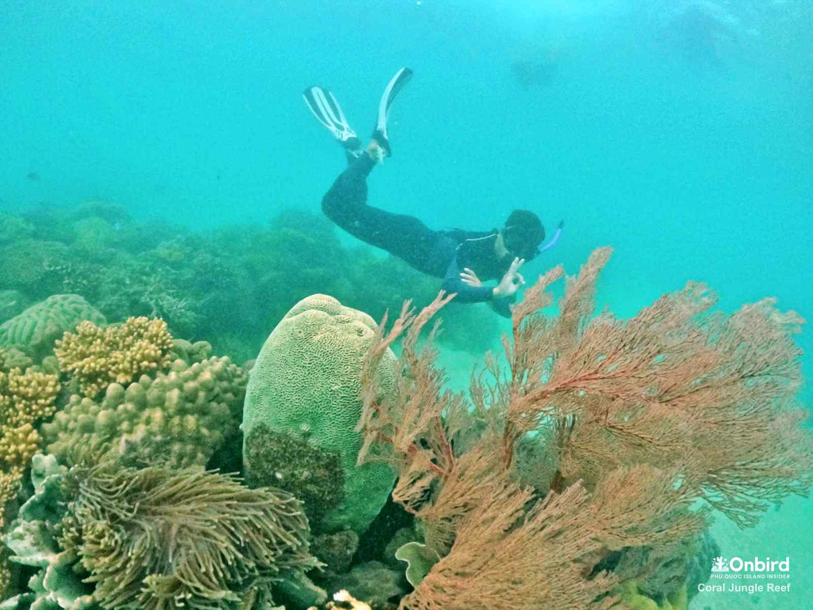 High-quality Diving and Snorkeling Fins for Safe and Enjoyable Water Adventures