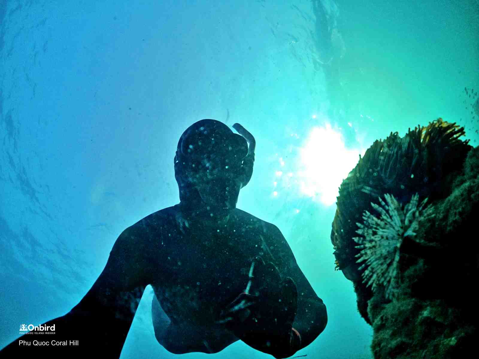 Why Is Anti-fog Mask Important For Snorkeling & Diving?
